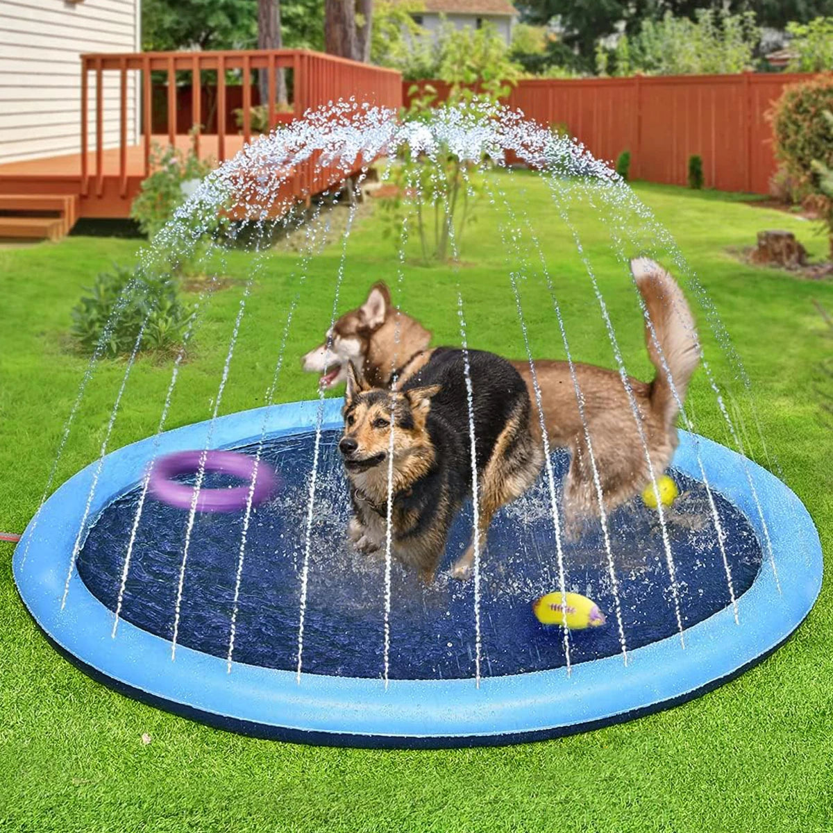 Piscina antiderrapante para cães e crianças - 170cm